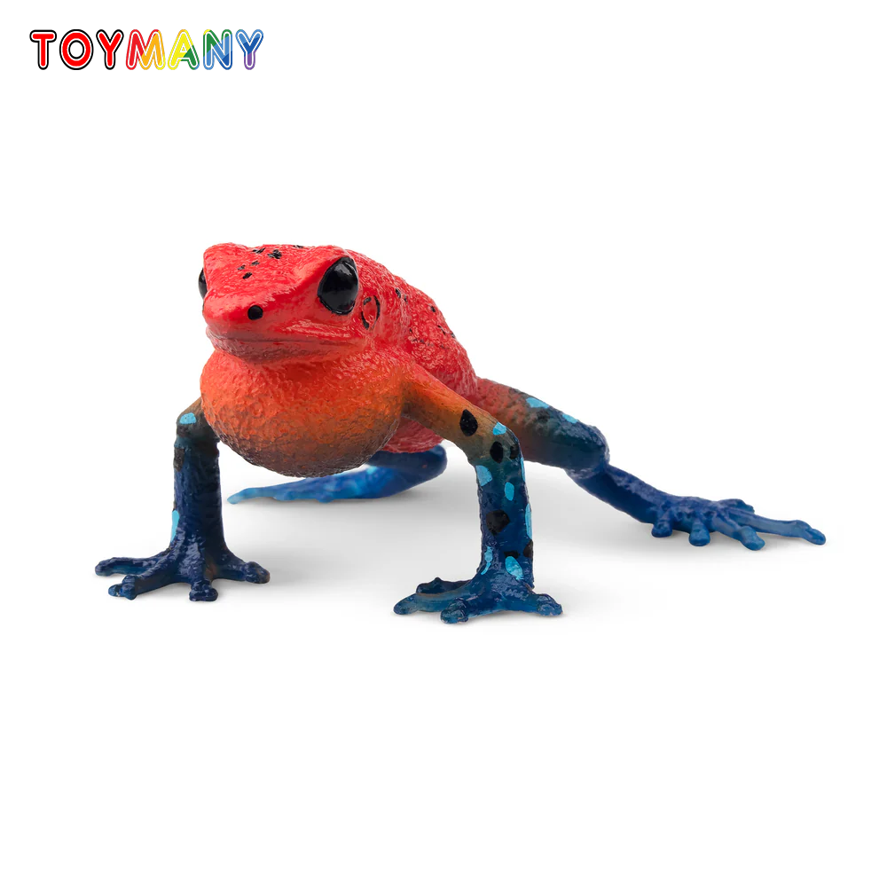 Kids Toys Under $5 - Zabawki Toymany Symulacja Żaba Truskawkowa Kraina