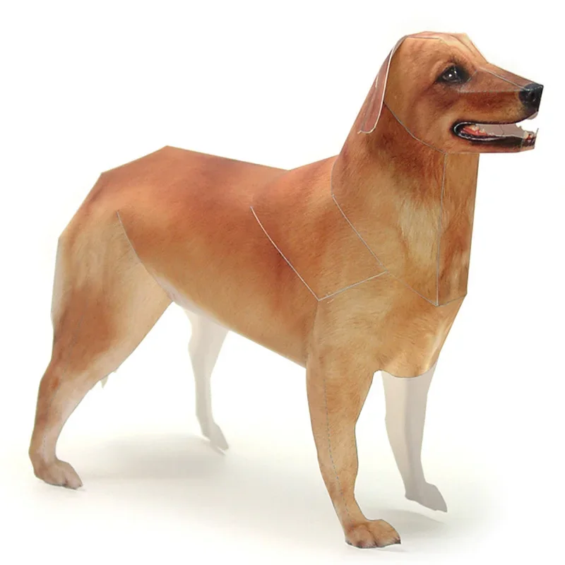Kids Toys Dog - Model papierowy psa rasy Golden Retriever,