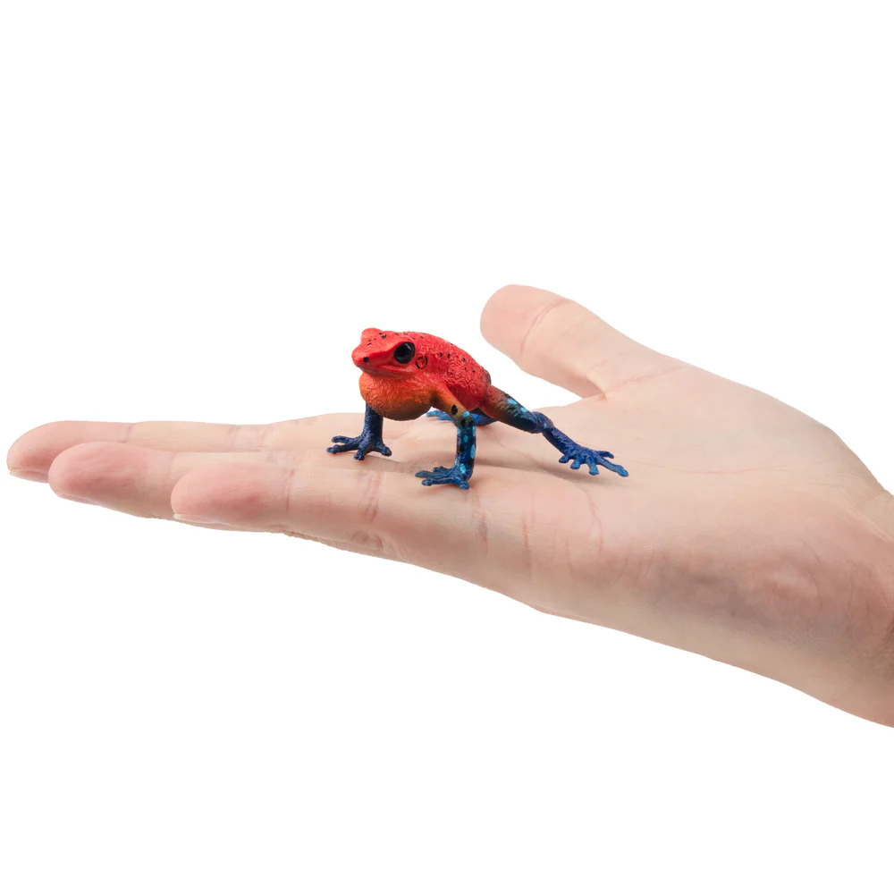 Zabawki Toymany Symulacja Żaba – Kids Toys Under $5 recenzja i cena