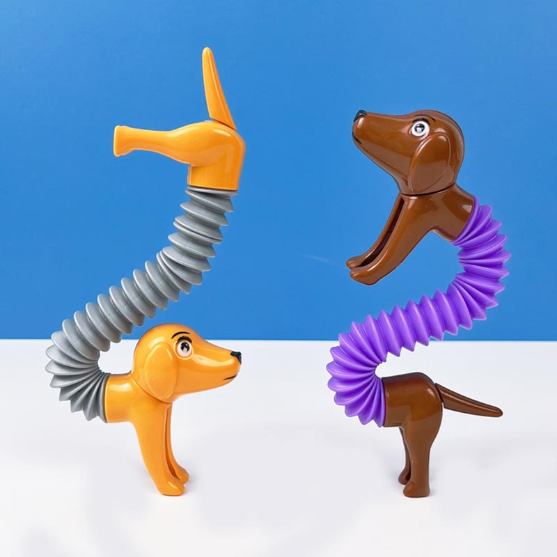 Nowość Spring Dog Pop Tubes za – Kids Toys Youtube recenzja i cena